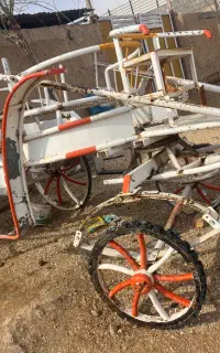 کالسکه تک اسب