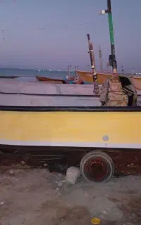تور ماهیگیری
