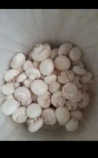 خاک دهی و تختکوبی و رافل انجام میدیم