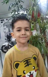 معمار چهره استان زنجان