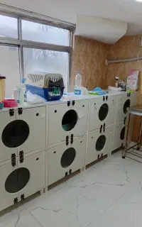 پانسیون حیوانات قیمت حمایتی