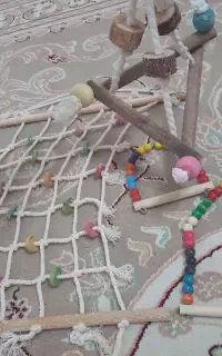 تاب و اسباب بازی پرنده