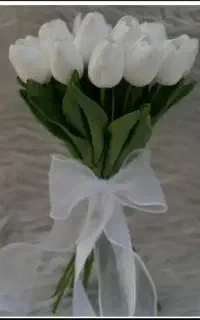 لاله شیپوری