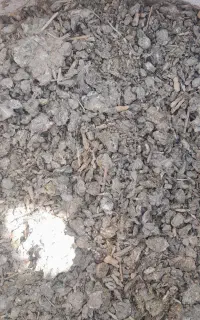 کود کبوتر فروشی