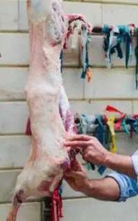 خدمات کشتار و قصابی گوسفند در محل