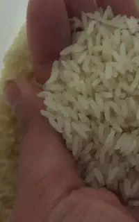 برنج(دونوج)بهنام درجه ۱