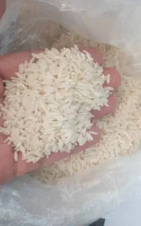 برنج هاشمی وطارم