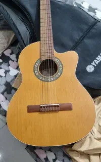 گیتار پارسی نو