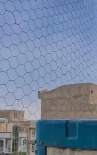 نصب توری در بالکن جهت جلوگیری از ورود پرندگان