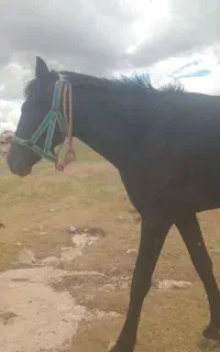 ۵۰۰۰۰۰۰۰
