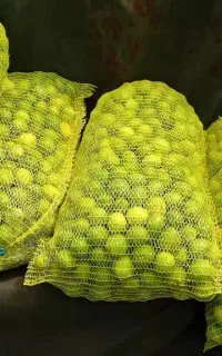لیمو اصل میناب