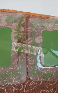 دیس شیرینی خوری