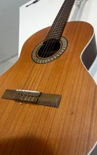 گیتار پارسی d6 نو همراه با کیف مخصوص