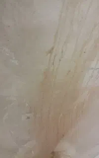 سرویس مدرسه از کرباسک به باهنر