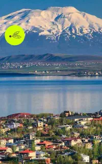 تور وان ریلی اتوبوسی