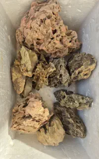 فروش سنگ و صخره و شن آکواریوم
