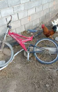 دوچرخه