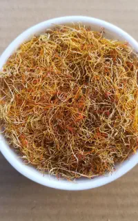 ریشه زعفران قاین