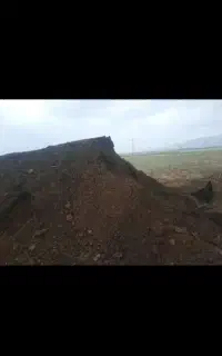 کود گوسفند کاملا رایگان