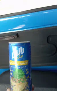 ضایعات رانی