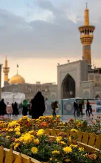 تورهای لوکس مشهد با قیمت های واقعی