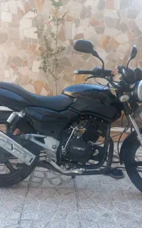 پالس مشکی