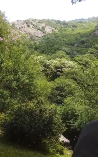 طبیعت تالش