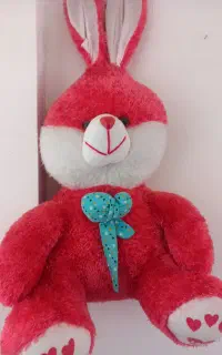 خرگوش