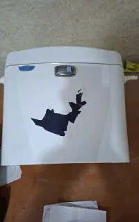 فلاش تانک