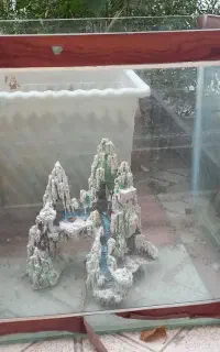 آکواریوم