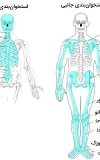 تدریس زیست کنکوری و آمادگی برای امتحان نهایی