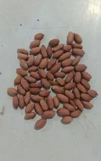 استخدام نیروی کار آقا در شهرک صنعتی نقره ده