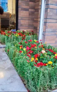 خدمات باغبانی گلکاری صفرتاصد باغچه ویلا تمام نقاط
