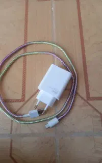 شارژر شیامی