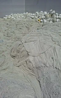 تور کاشخ