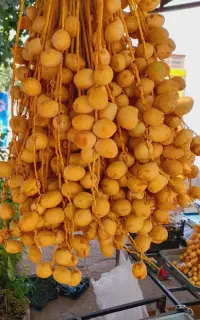 خارک و رطب آبادان/از دست ندید