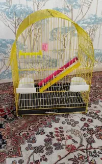 قفس نو