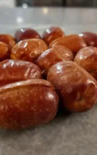 سنجد