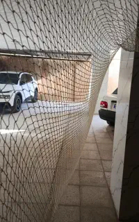تورماهیگیری
