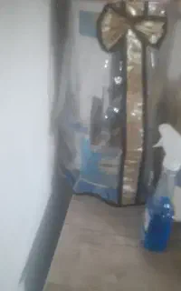 سبزی خرد کن