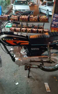 رایکا ۹۵