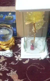 گوی نو