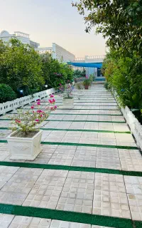 سنگ کار