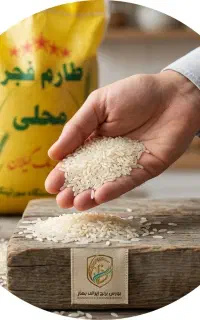 برنج ایرانی طارم فجر درجه یک گیلان (بسته بندی ۲۰k)