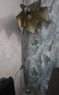 آباژور ایستاده