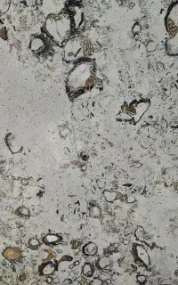 سنگ پله