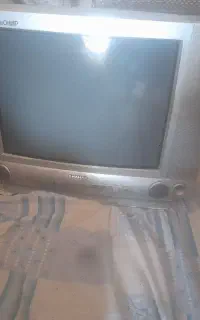تلوزیون کهنه برای باغ سالم
