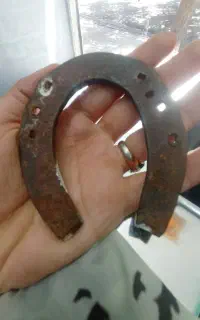 نعل اسب