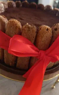 تیرامیسو تک نفره وقالبی کیک مرغ تک نفره
