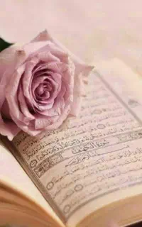 قرآن میخوانم واسه اموات